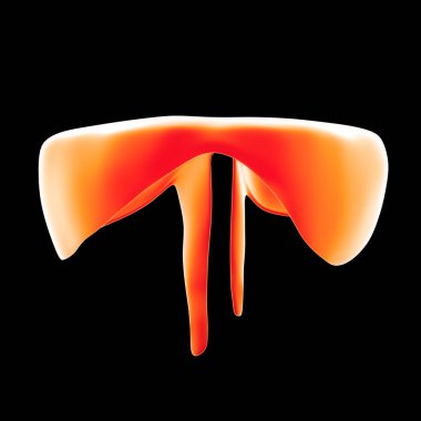 İnsan diyafram görünümü