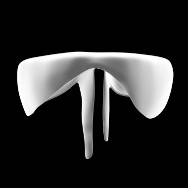 İnsan diyafram görünümü