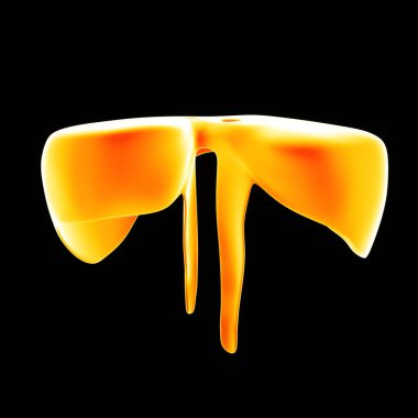 İnsan diyafram görünümü