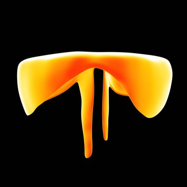 İnsan diyafram görünümü