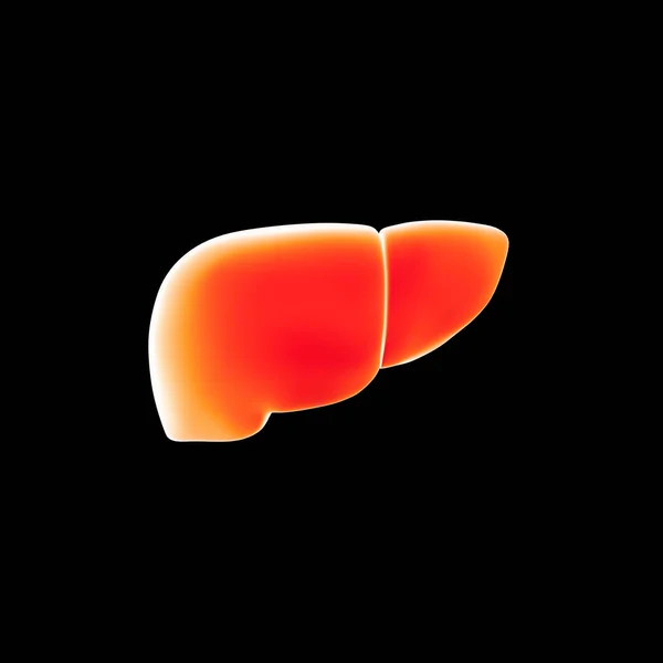 Human liver view — Stock Photo, Image