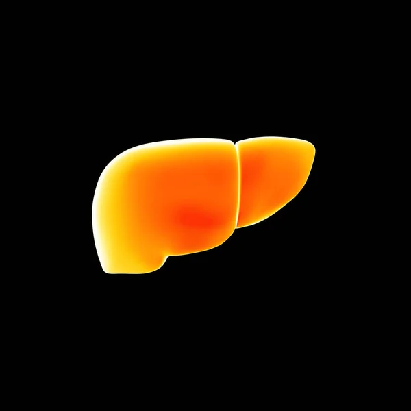 Visão do fígado humano — Fotografia de Stock
