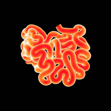 İnce bağırsak yakınlaştırma