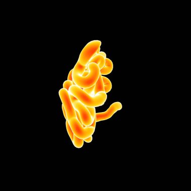 İnce bağırsak yakınlaştırma