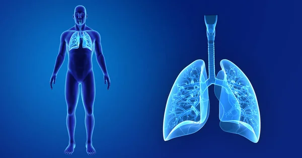Zoom polmonare con corpo — Foto Stock