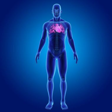 Kalp iskelet ön Manzaralı