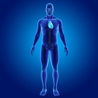 Kalp iskelet ön Manzaralı