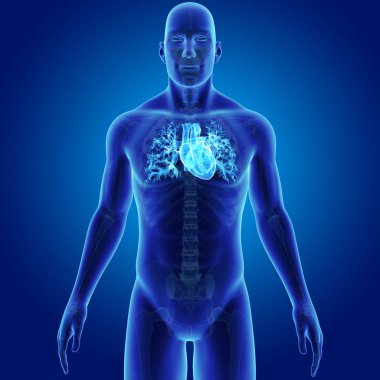 Kalp iskelet ön Manzaralı