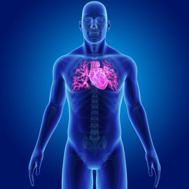 Kalp iskelet ön Manzaralı