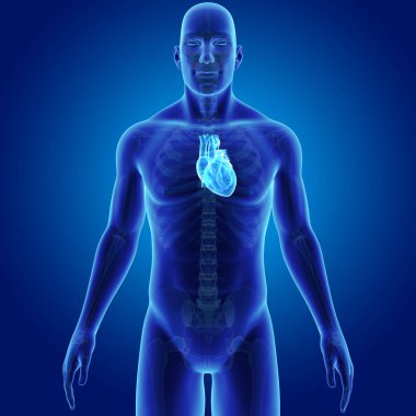 Kalp iskelet ön Manzaralı