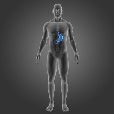 Mide iskelet ön Manzaralı