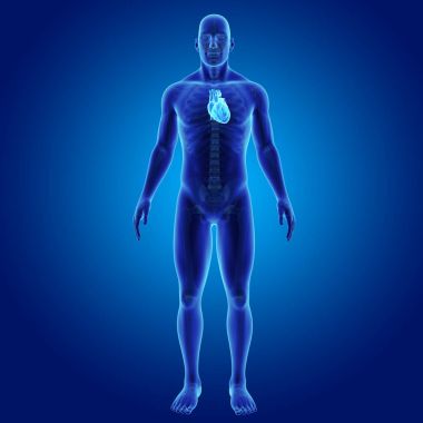 Kalp iskelet ön Manzaralı