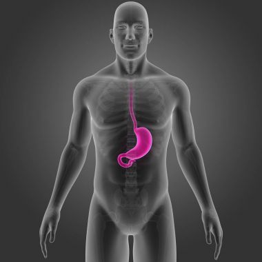 Mide iskelet ön Manzaralı