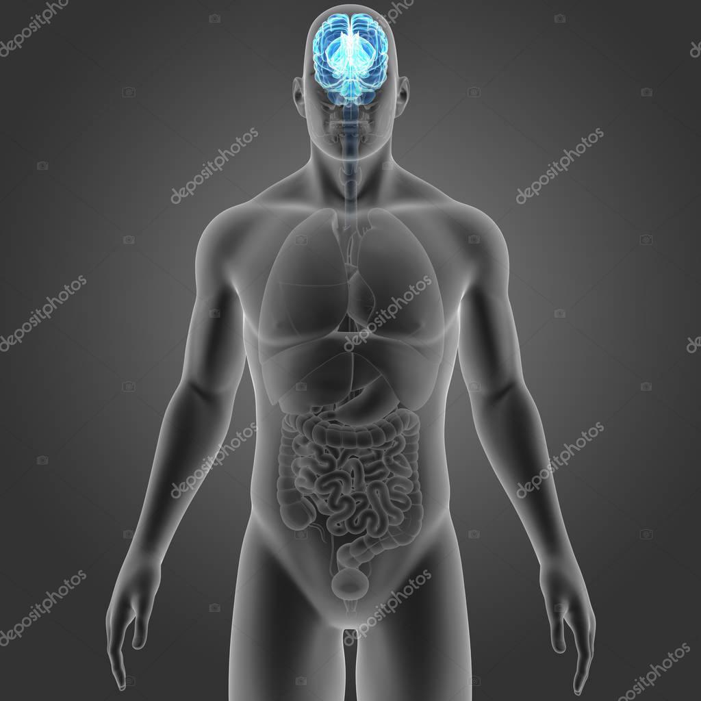 sciencepics
