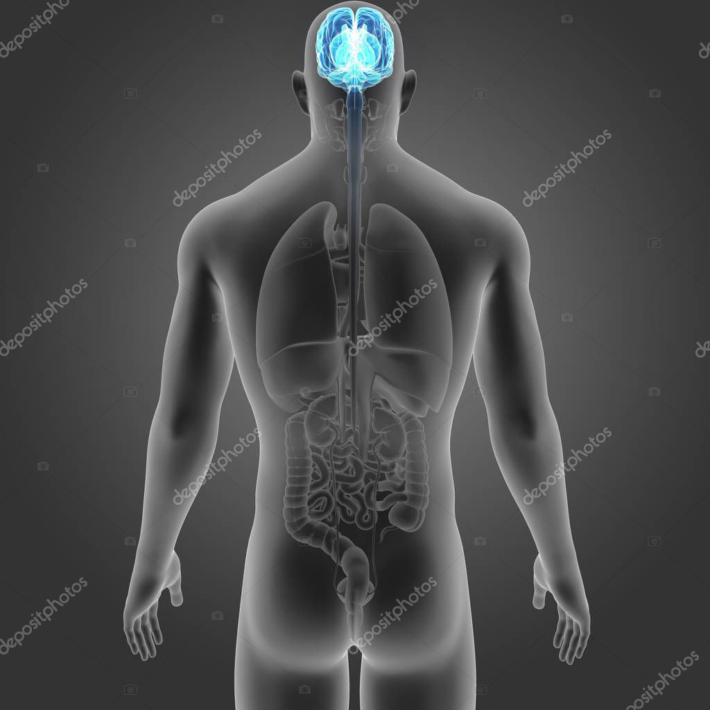 sciencepics