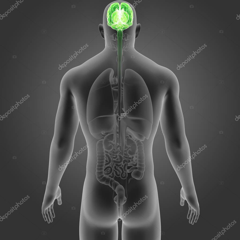 sciencepics