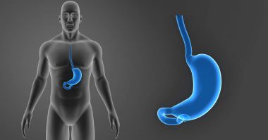 Mide zoom ile vücut  