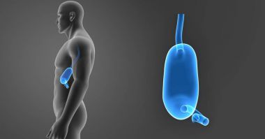 Mide zoom ile vücut 