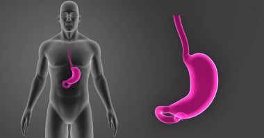 Mide zoom ile vücut  