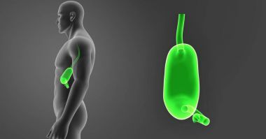 Mide zoom ile vücut 