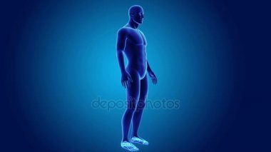 3D ayak bileği ve ayak ile vücut 