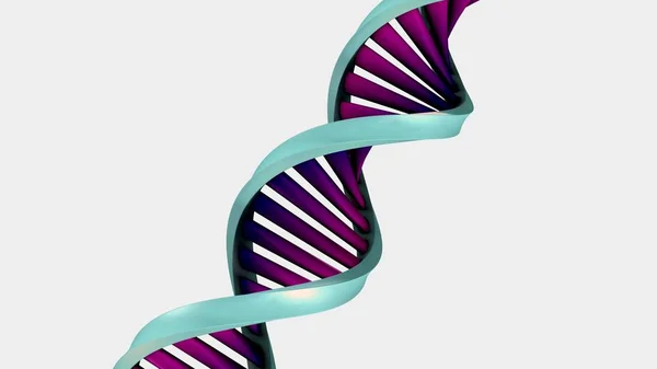 Estrutura do ADN humano — Fotografia de Stock
