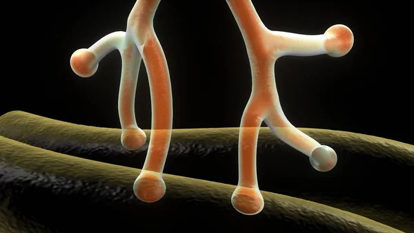 Akson terminallerinde nöron — Stok fotoğraf