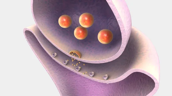 Modelo de neurotransmisor humano — Foto de Stock