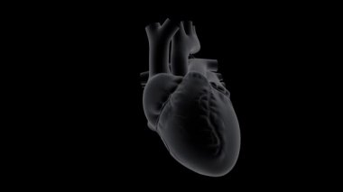 Koyu arkaplanda kalp atışlarının x-ray görüntüsü