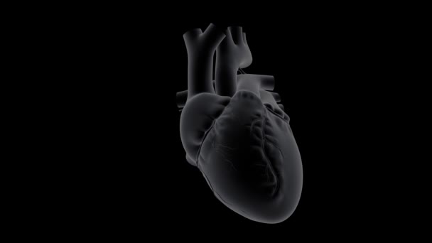 Nahaufnahme Röntgenbild Des Herzschlags Auf Dunklem Hintergrund — Stockvideo