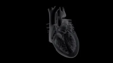 Koyu arkaplanda kalp atışlarının x-ray görüntüsü