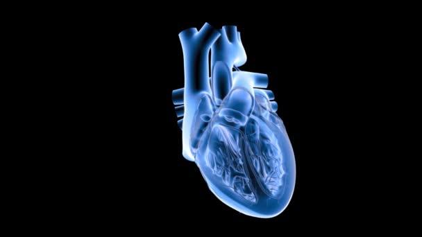 Primo Piano Vista Radiografia Del Battito Cardiaco Sfondo Scuro — Video Stock