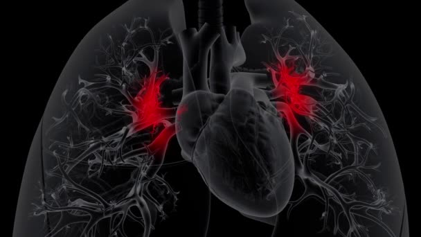 Primo Piano Vista Radiografia Del Battito Cardiaco Sfondo Scuro — Video Stock