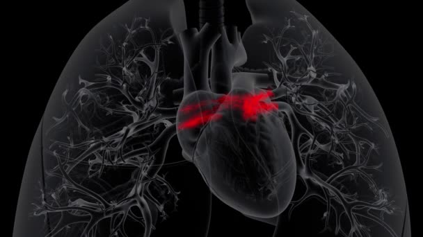 Κοντινή Προβολή Ακτίνων Του Καρδιακού Παλμού Σκοτεινό Φόντο — Αρχείο Βίντεο