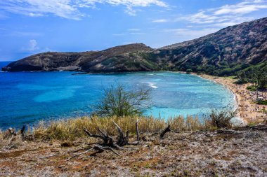 Oahu adasındaki Hanuama Körfezi 'nde şnorkelle yüzmek.