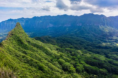 Yürüyüş yolu Oahu adasında Olo mana