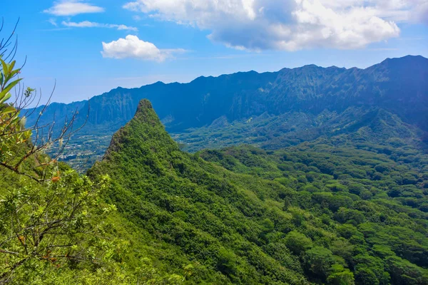 Yürüyüş yolu Oahu adasında Olo mana