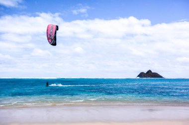 Hawaii 'deki Oahu adasının kumlu sahillerinde uçurtma sörfü