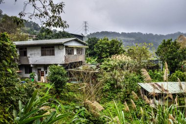 Tipik kamaraları olan Tayvan güzelliği.