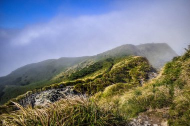Kuzey Tayvan 'daki Yangmingshan Ulusal Parkı' nda yürüyüş.