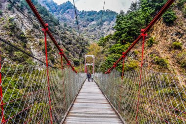 Tayvan dağlarındaki asma köprü, Guguan