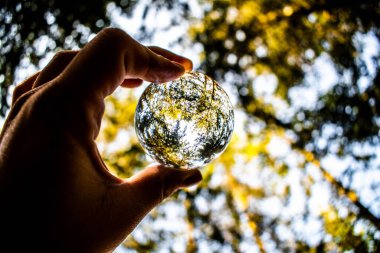 Kristal küreyle ormanda bahar foto homurdanıyor.