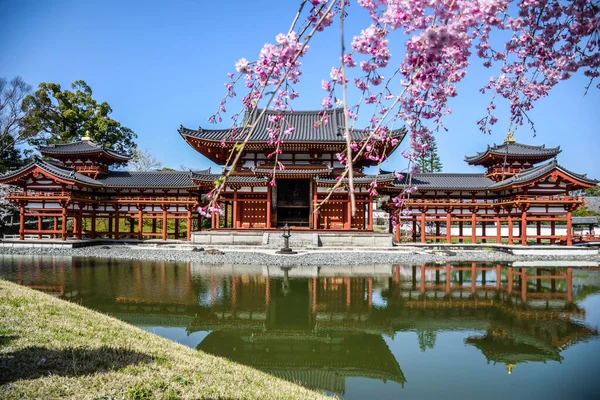 Kyoto 'da antik kırmızı ahşap saray ve kiraz çiçekleri