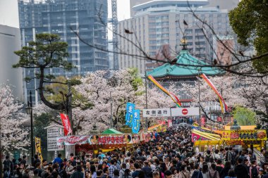 Tokyo 'da bahar günleri kiraz ağaçlarının altında işlek sokaklar, Japonya