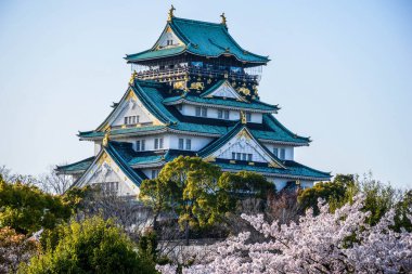 Görkemli mavi çatılı Osaka kalesi, zengin dekorasyonlu, Japonya