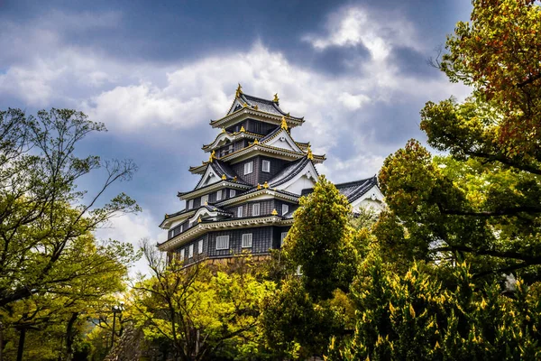 Majestic Okayama kalesi Japonya 'da ilkbahar yeşil ağaçlarıyla çevrili.