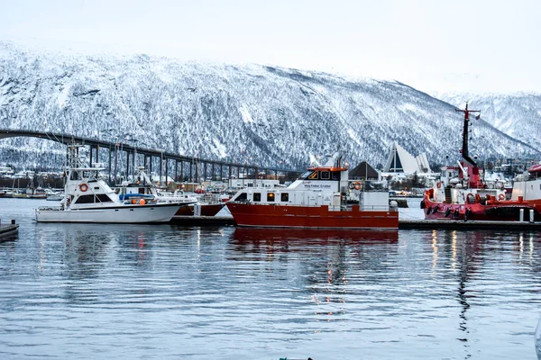 Tromso fiordo e l'iconico ponte nel porto, Norvegia — Foto Stock