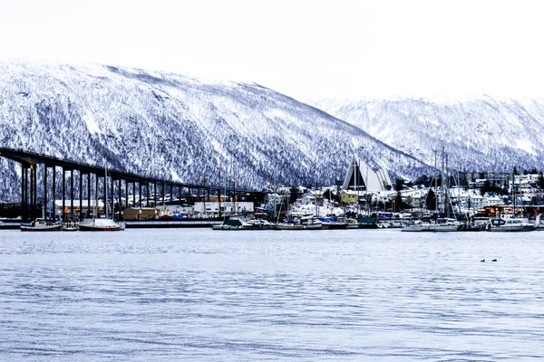 Norveç 'in kuzeyindeki Tromso fiyordunda ikonik katedral ve köprü — Stok fotoğraf