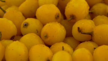 tam kare turuncu sarı deniz yığını