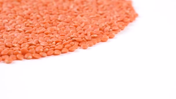 无边无际的红色小扁豆 — 图库视频影像